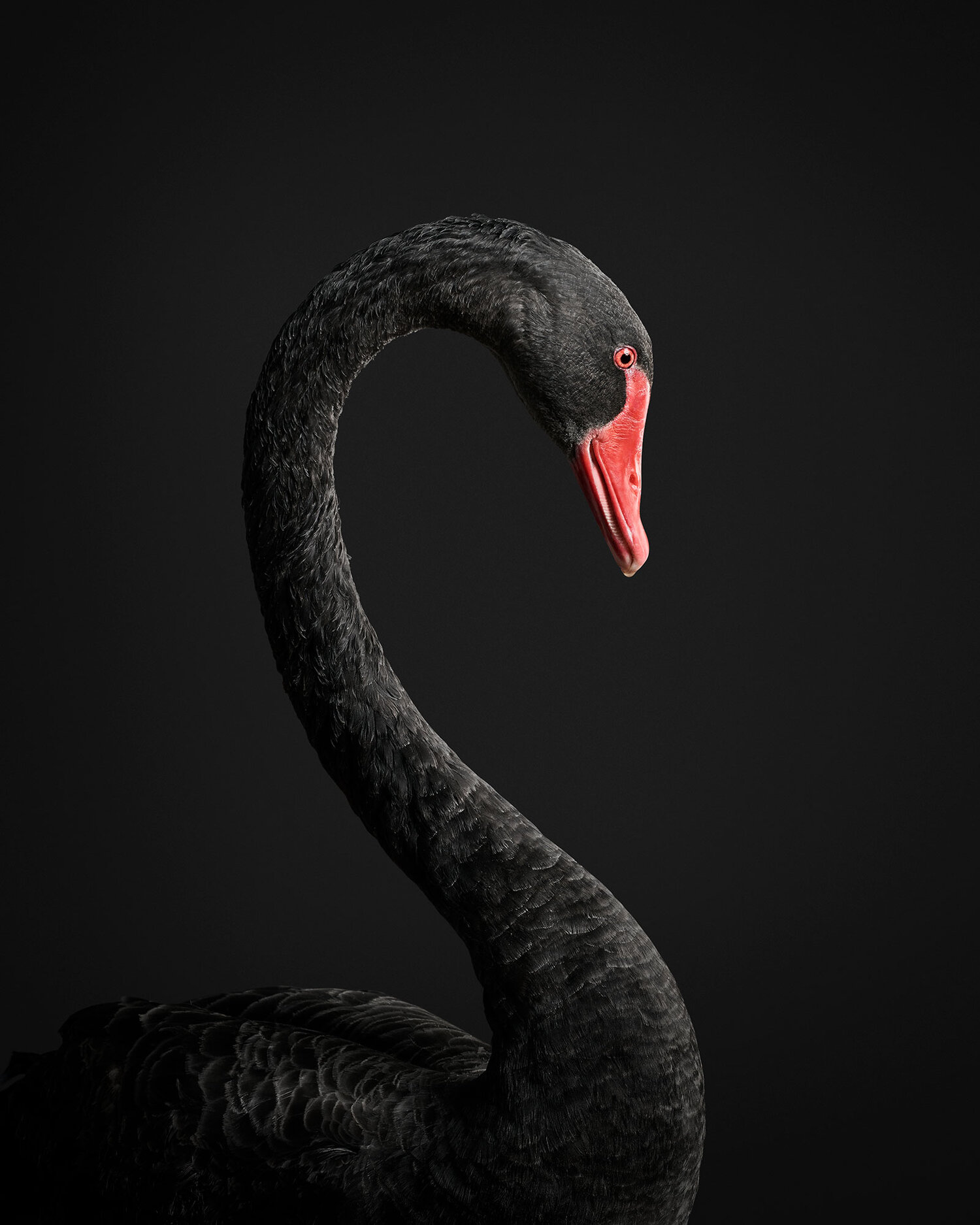 FKtVYSvXoAE1-L4